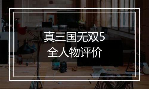 真三国无双5 全人物评价