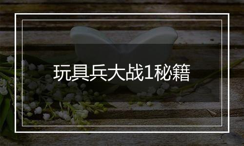 玩具兵大战1秘籍