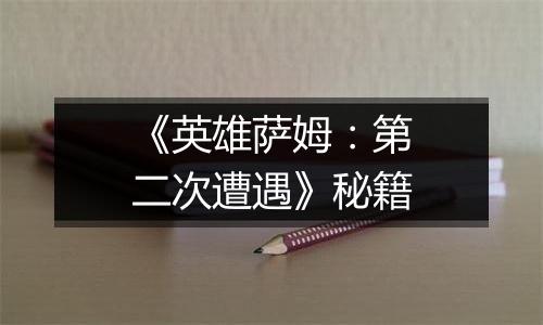 《英雄萨姆：第二次遭遇》秘籍