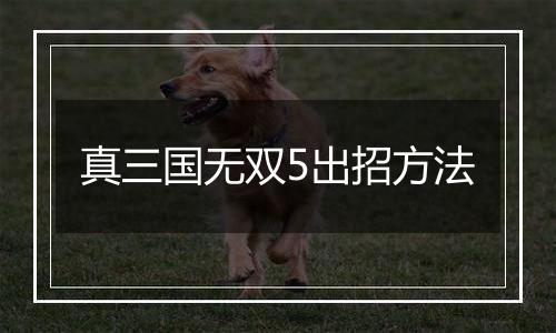 真三国无双5出招方法