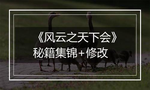 《风云之天下会》秘籍集锦+修改