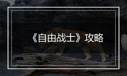 《自由战士》攻略