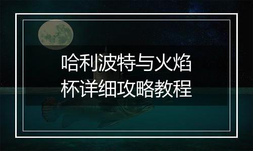 哈利波特与火焰杯详细攻略教程