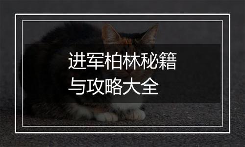 进军柏林秘籍与攻略大全