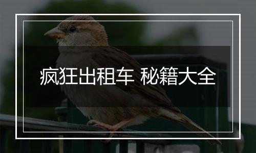 疯狂出租车 秘籍大全