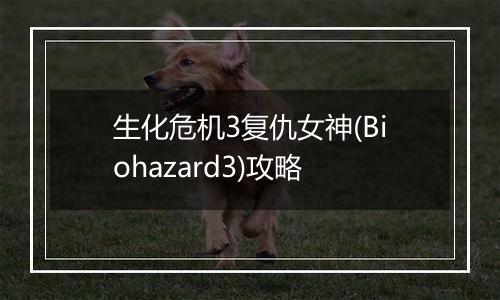 生化危机3复仇女神(Biohazard3)攻略