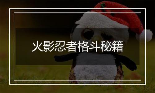 火影忍者格斗秘籍