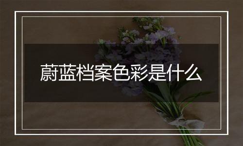 蔚蓝档案色彩是什么