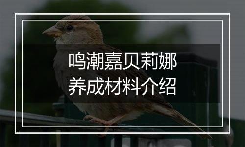 鸣潮嘉贝莉娜养成材料介绍