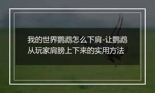 我的世界鹦鹉怎么下肩-让鹦鹉从玩家肩膀上下来的实用方法