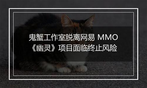 鬼蟹工作室脱离网易 MMO《幽灵》项目面临终止风险