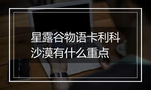 星露谷物语卡利科沙漠有什么重点