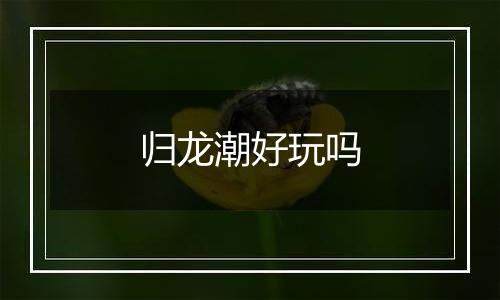 归龙潮好玩吗