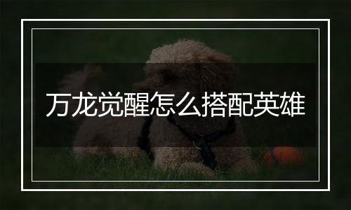 万龙觉醒怎么搭配英雄