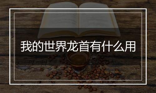 我的世界龙首有什么用