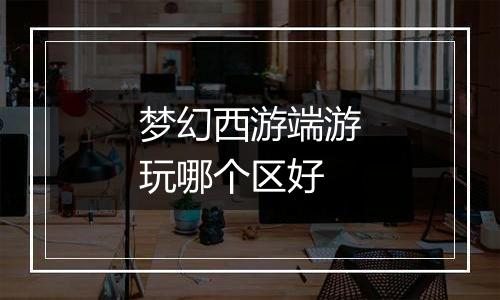 梦幻西游端游玩哪个区好