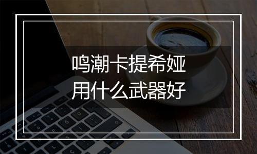 鸣潮卡提希娅用什么武器好