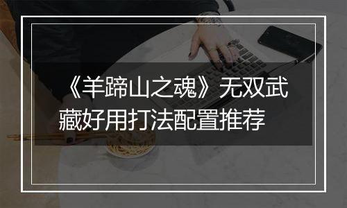 《羊蹄山之魂》无双武藏好用打法配置推荐