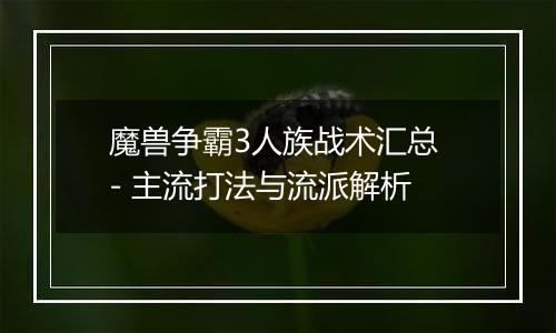 魔兽争霸3人族战术汇总 - 主流打法与流派解析