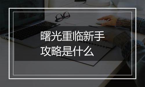 曙光重临新手攻略是什么