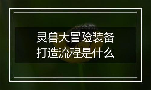 灵兽大冒险装备打造流程是什么