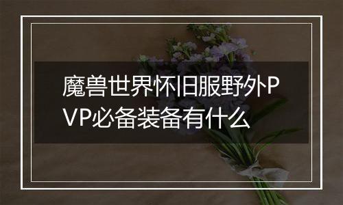 魔兽世界怀旧服野外PVP必备装备有什么