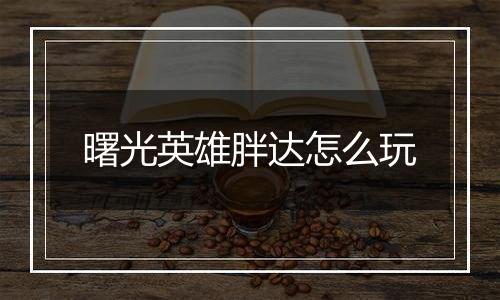 曙光英雄胖达怎么玩