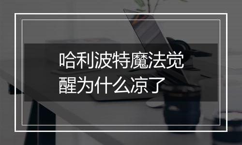 哈利波特魔法觉醒为什么凉了