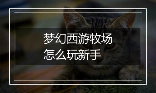 梦幻西游牧场怎么玩新手