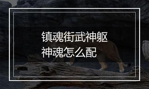 镇魂街武神躯神魂怎么配