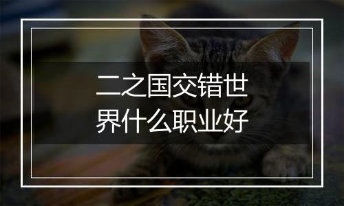 二之国交错世界什么职业好