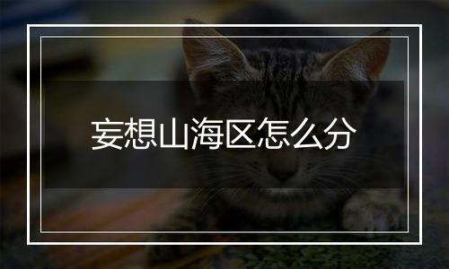 妄想山海区怎么分
