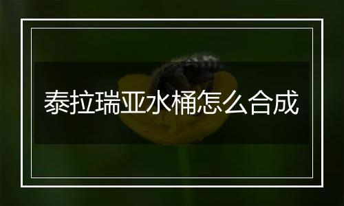 泰拉瑞亚水桶怎么合成