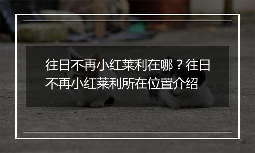 往日不再小红莱利在哪？往日不再小红莱利所在位置介绍