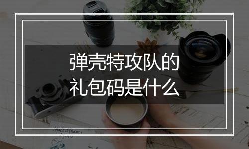 弹壳特攻队的礼包码是什么