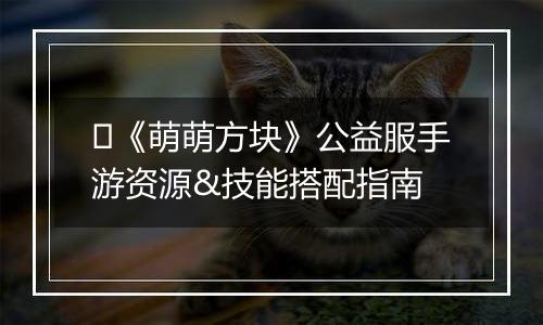 ​《萌萌方块》公益服手游资源&技能搭配指南