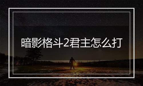 暗影格斗2君主怎么打