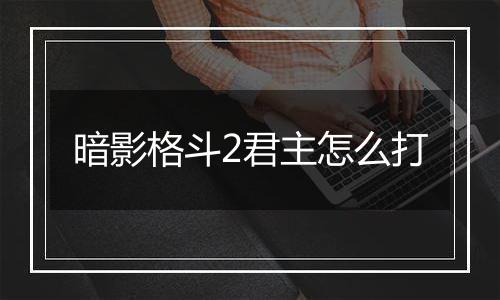 暗影格斗2君主怎么打