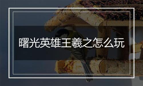 曙光英雄王羲之怎么玩