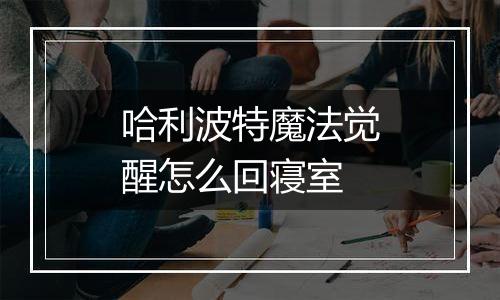 哈利波特魔法觉醒怎么回寝室