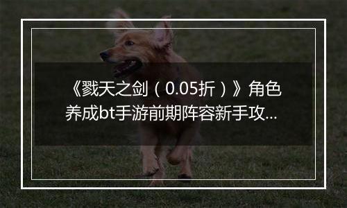 《戮天之剑（0.05折）》角色养成bt手游前期阵容新手攻略。