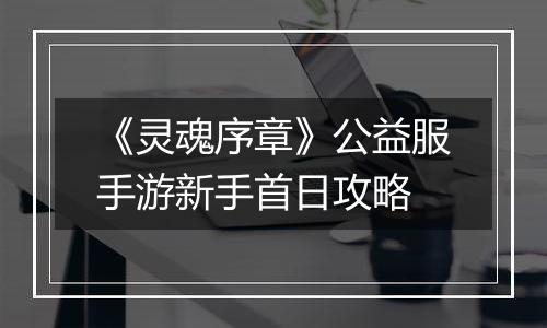 《灵魂序章》公益服手游新手首日攻略
