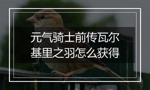 元气骑士前传瓦尔基里之羽怎么获得