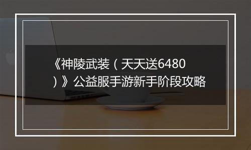 《神陵武装（天天送6480）》公益服手游新手阶段攻略
