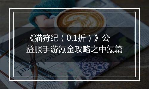 《猫狩纪（0.1折）》公益服手游氪金攻略之中氪篇