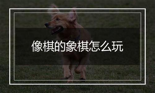 像棋的象棋怎么玩