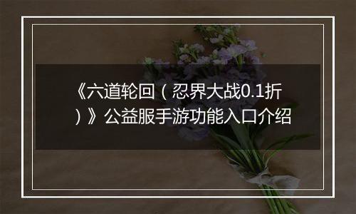 《六道轮回（忍界大战0.1折）》公益服手游功能入口介绍