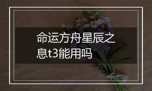 命运方舟星辰之息t3能用吗