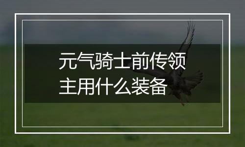 元气骑士前传领主用什么装备