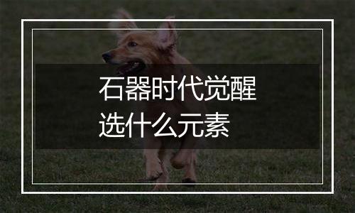 石器时代觉醒选什么元素